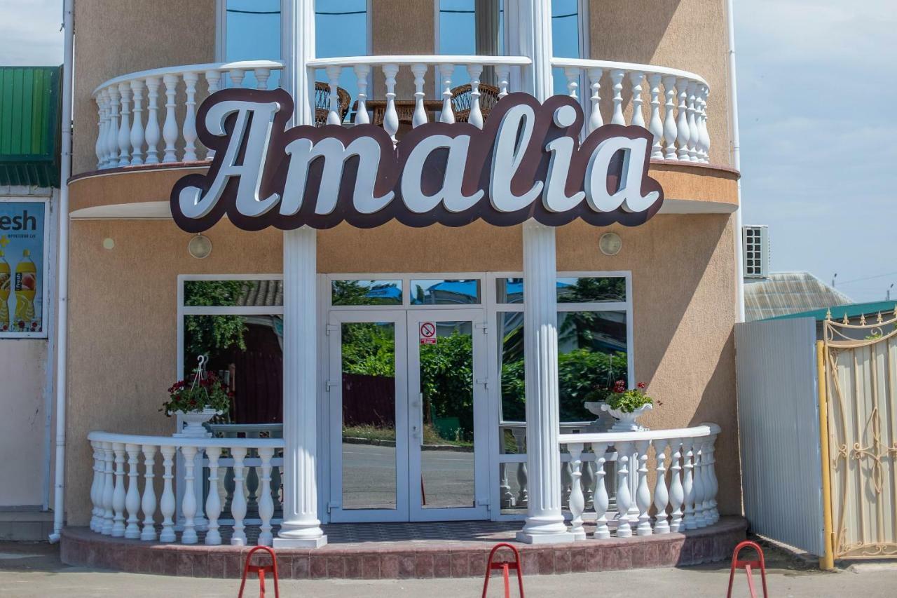 Amalia Hotel Zaliznyi Port Exterior foto